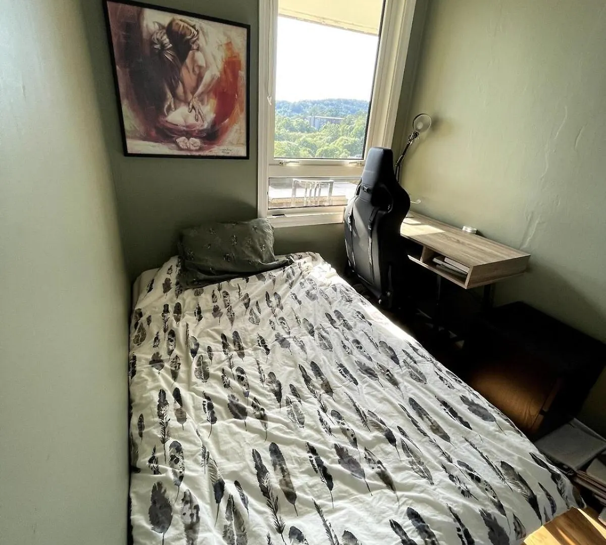 Cozy Apartment With Balcony And Amazing View Bergen 0*,  Norway