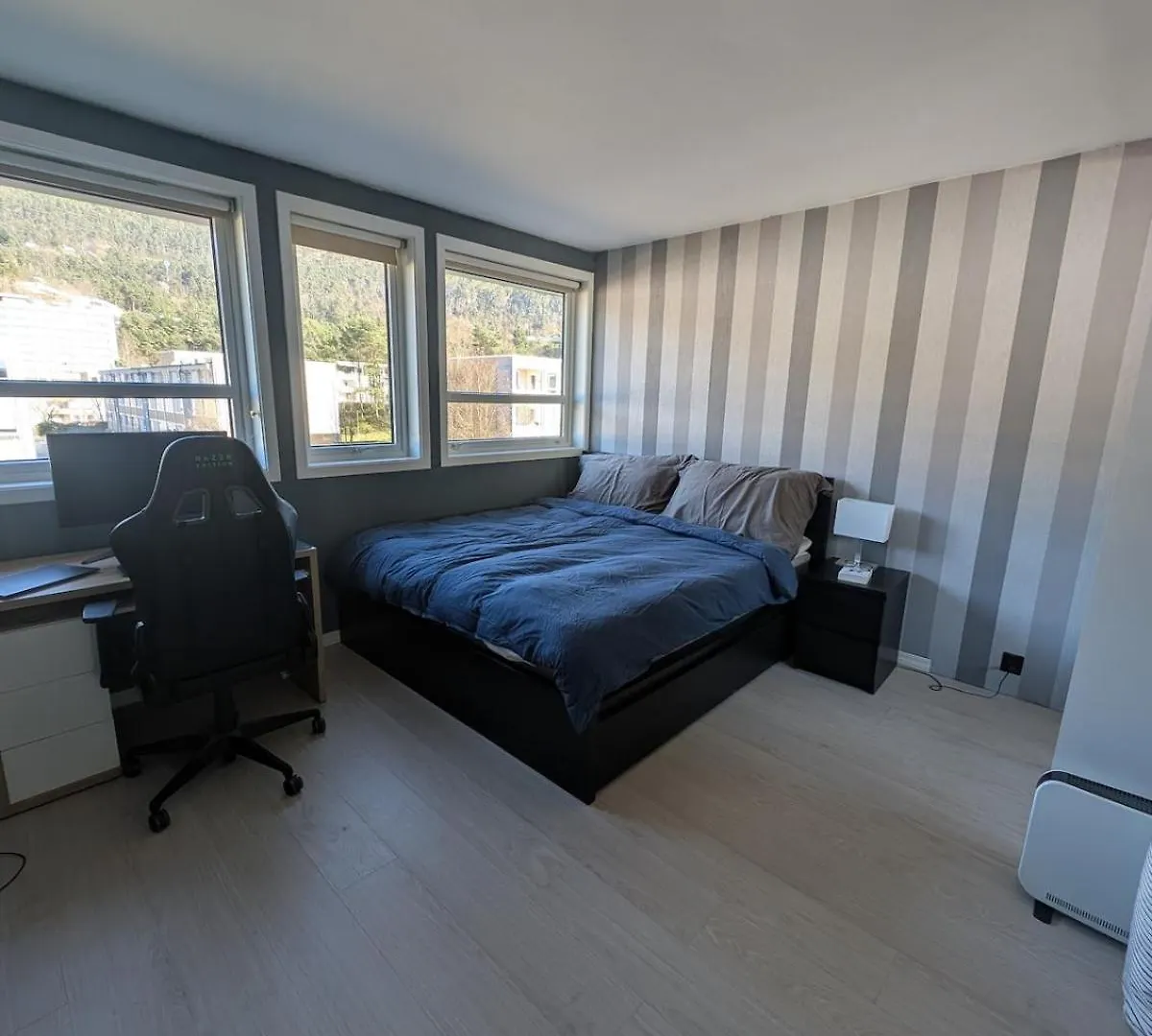 Cozy Apartment With Balcony And Amazing View Bergen